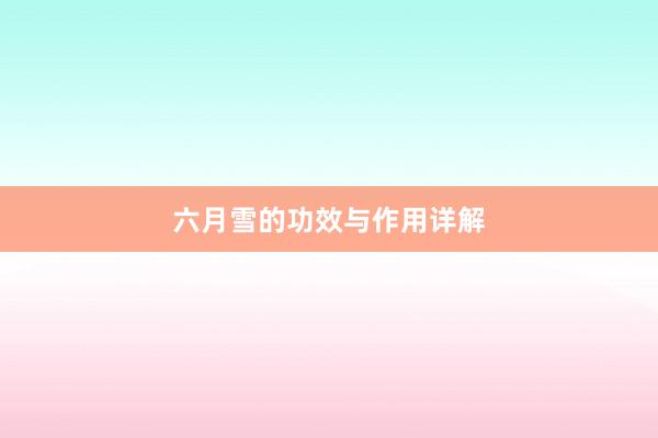 六月雪的功效与作用详解
