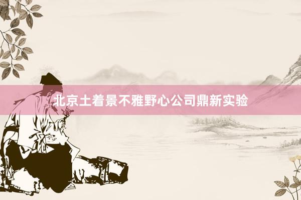 北京土着景不雅野心公司鼎新实验