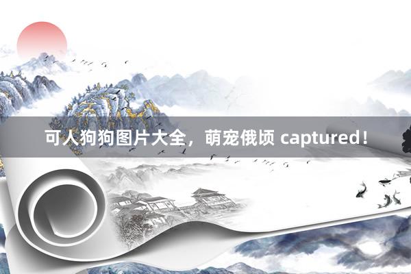 可人狗狗图片大全，萌宠俄顷 captured！